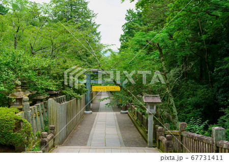 金刀比羅宮　参道(香川県琴平町) 67731411