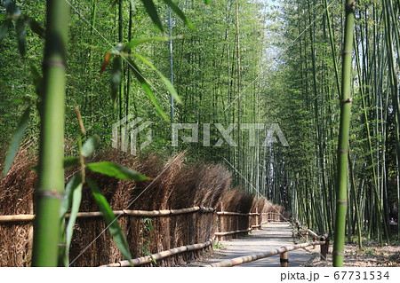 嵐山町 京都嵐山 嵐山渓谷 67731534
