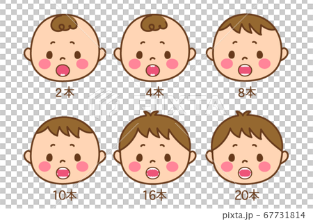 Change of milk teeth Change of milk teeth 67731814