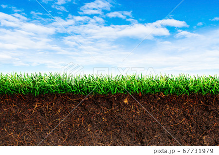 Cross section brown soil and green grass in underground. Cross section brown soil and green grass in underground. 67731979