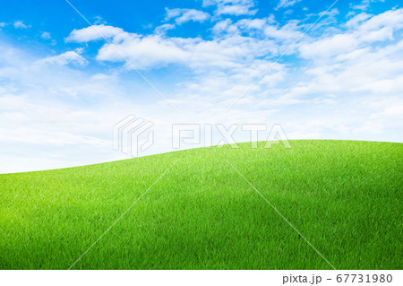 Green grass meadow field with white clouds and blue sky. 67731980