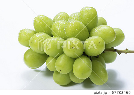 秋の味覚フレッシュなシャインマスカット 秋の味覚フレッシュなシャインマスカット 67732466