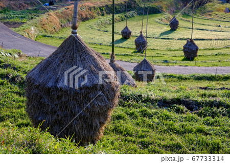 棚田と積み藁（奈良県高市郡明日香村） 67733314