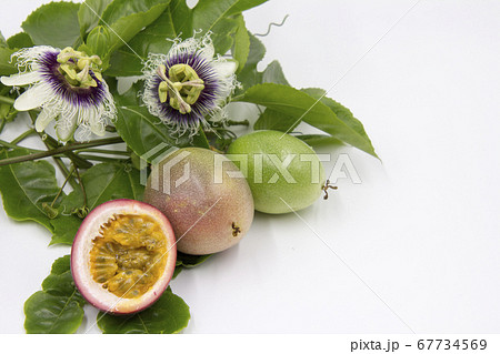 パッションフルーツの花と果実 パッションフルーツの花と果実 67734569