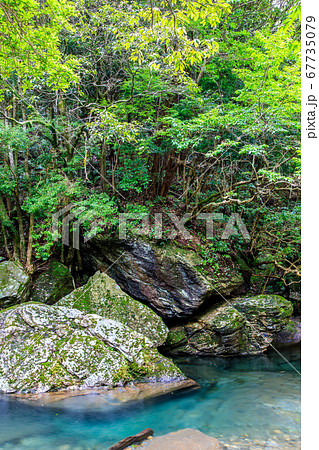 新緑の岩背戸渓谷 【長崎県西海市】 新緑の岩背戸渓谷 【長崎県西海市】 67735079