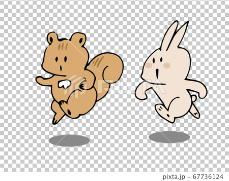 Squirrel and rabbit jumping 67736124
