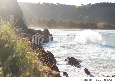 ニュージーランドの海岸 67736428