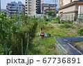 夏の貸し農園、耕運機 67736891