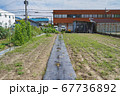 夏の貸し農園 67736892