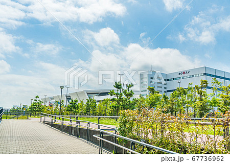 東京の都市風景 豊洲市場 水産卸売場棟 67736962