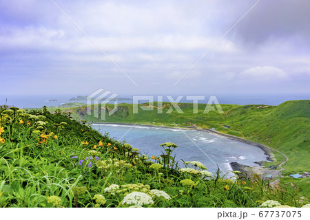 北海道　礼文島・ゴロタ岬からの眺望 67737075