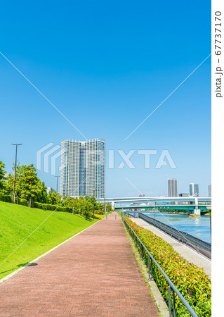 東京の都市風景 豊洲ぐるり公園周辺の風景 東京の都市風景 豊洲ぐるり公園周辺の風景 67737170