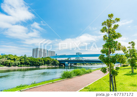 東京の都市風景 豊洲ぐるり公園周辺の風景 67737172
