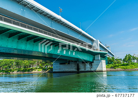 東京の都市風景 豊洲ぐるり公園周辺の風景 67737177
