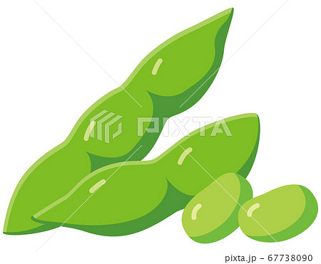 枝豆のイラスト素材