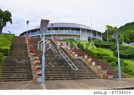 兵庫県 淡路島 ウェルネスパーク五色 高田屋嘉兵衛公園 浜千鳥の写真素材