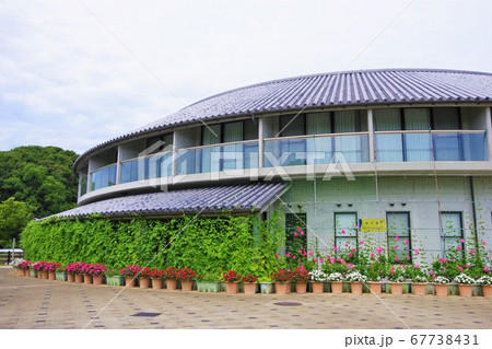 兵庫県 淡路島 ウェルネスパーク五色 高田屋嘉兵衛公園 浜千鳥 兵庫県 淡路島 ウェルネスパーク五色 高田屋嘉兵衛公園 浜千鳥 67738431