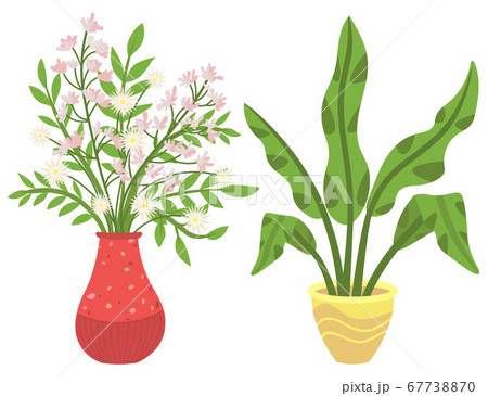 Houseplant in Vases, Flowers with Flourishing 67738870