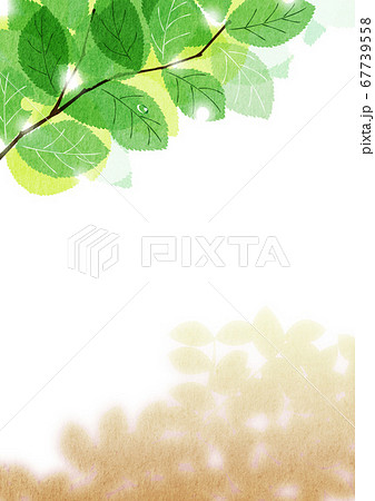 木漏れ日が輝く桜の新緑と木陰 夏 ブラウン 4のイラスト素材