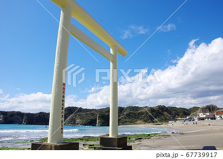 鵜原海岸の白い鳥居（千葉県勝浦市） 67739917