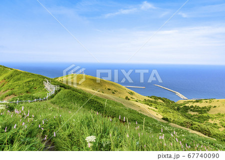 北海道 礼文島・桃岩展望台コースからの眺望 北海道 礼文島・桃岩展望台コースからの眺望 67740090
