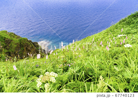 北海道　礼文島・桃岩展望台コースからの眺望 67740123