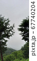 山 風景 木 67740204