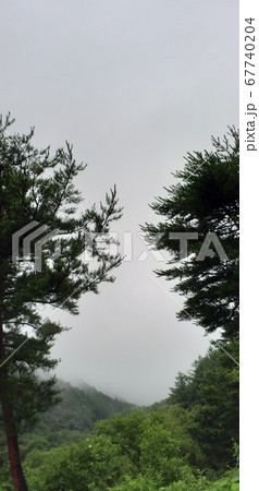 山 風景 木 67740204