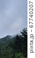 自然 景色 緑 67740207