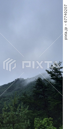 自然 景色 緑 67740207