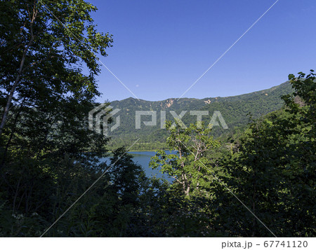 木々の向こうに見えるオコタンペ湖 木々の向こうに見えるオコタンペ湖 67741120