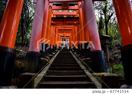 伏見稲荷大社・京都 大千本鳥居へ 伏見稲荷大社・京都 大千本鳥居へ 67741534