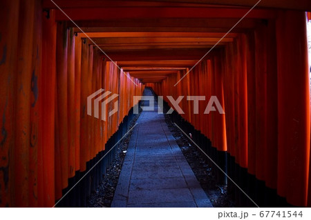 伏見稲荷大社・京都　幽玄な千本鳥居 67741544