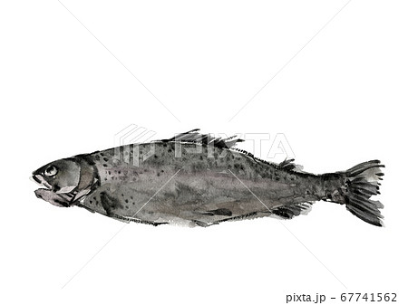 絵画　魚　2つセット 金魚にまつわるエトセトラ。 | トリこれくと! - 楽天ブログ
