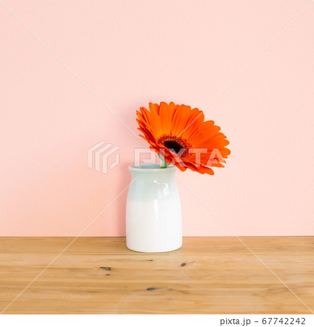 Orange gerbera flower in vase on wooden table with pink background. Floral composition, copy space 67742242