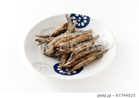 きびなごの唐揚げ きびなごの唐揚げ 67744025