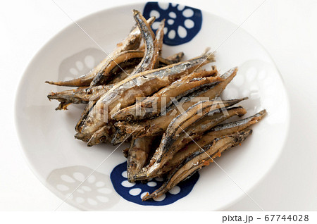 きびなごの唐揚げ きびなごの唐揚げ 67744028