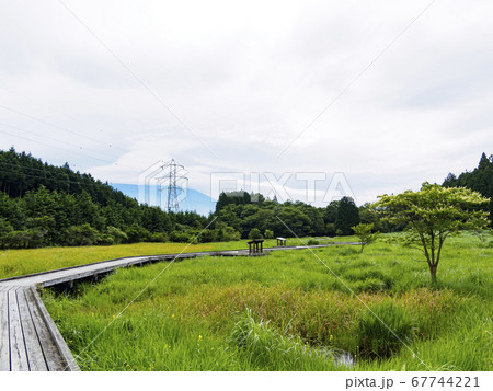 富士山の見える唯一の湿原富士宮市の小田貫湿原（梅雨） 67744221