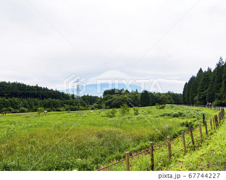 富士山の見える唯一の湿原富士宮市の小田貫湿原(梅雨) 富士山の見える唯一の湿原富士宮市の小田貫湿原(梅雨) 67744227