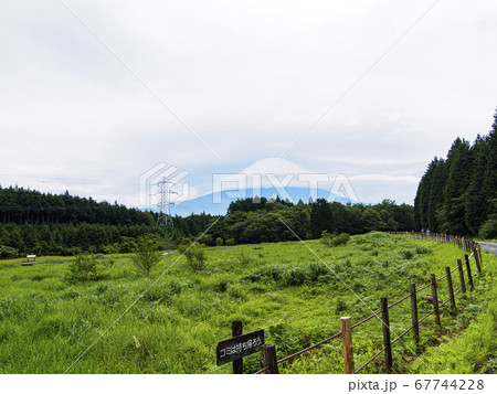 富士山の見える唯一の湿原富士宮市の小田貫湿原(梅雨) 富士山の見える唯一の湿原富士宮市の小田貫湿原(梅雨) 67744228
