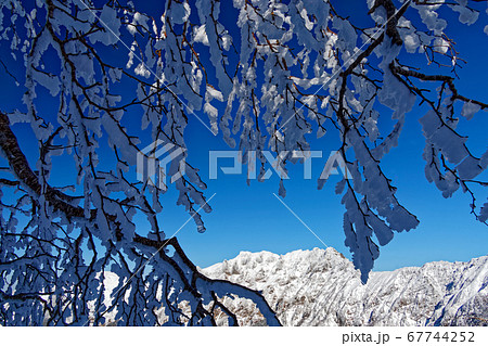 八ヶ岳連峰・阿弥陀岳稜線の樹氷と横岳の眺め 八ヶ岳連峰・阿弥陀岳稜線の樹氷と横岳の眺め 67744252