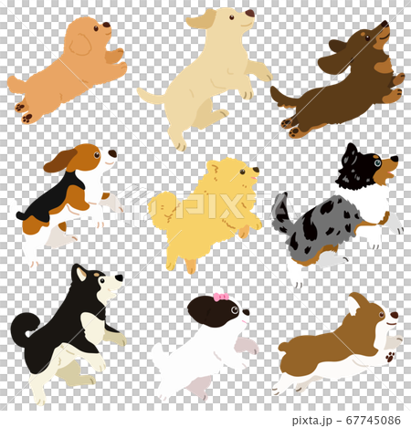 Illustration of cute dog jumping Set B without main line 67745086