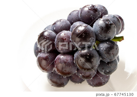 ぶどう(種無しピオーネ)。(白皿・白バック) ぶどう(種無しピオーネ)。(白皿・白バック) 67745130