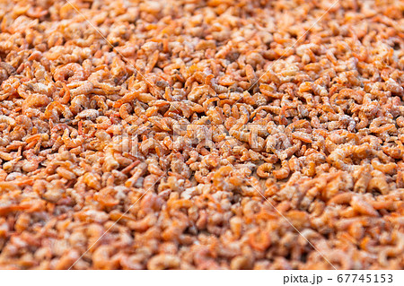 Dried shrimp seafood Dried shrimp seafood 67745153