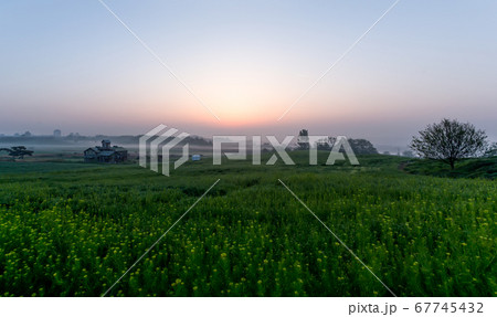 景色 風景 野原 67745432