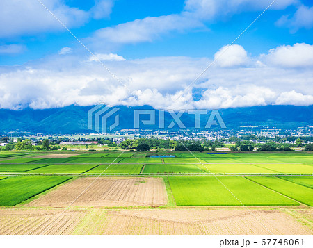 夏の信州 安曇野の田園風景 夏の信州 安曇野の田園風景 67748061