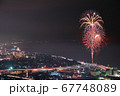 はじまりの花 67748089
