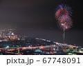 はじまりの花 67748091