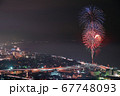 はじまりの花 67748093