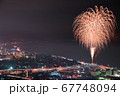 はじまりの花 67748094